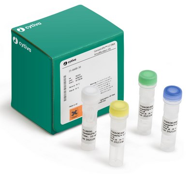 GenomiPhi&#8482; V2 DNA Amplification Kit, 25 RXN Cytiva 25-6600-30, sufficient for 25&#160;reactions