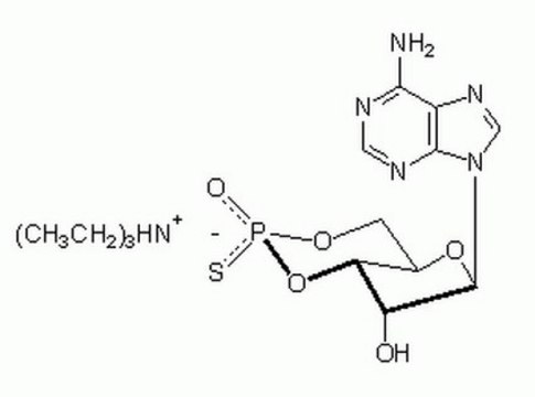 Adenosine 3&#8242;,5&#8242;-cyclic Monophosphorothioate, Rp-Isomer, Triethylammonium Salt A cell-permeable and reversible inhibitor of protein kinase A (Ki = 11 &#181;M).