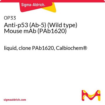 抗-P53（Ab-5）（野生型）小鼠mAb（PAb1620） liquid, clone PAb1620, Calbiochem&#174;