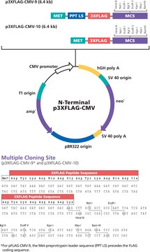 p3XFLAG-CMV&#8482;-9 Expression Vector Shuttle vector for transient or stable expression of secreted N-terminal 3xFLAG fusion proteins