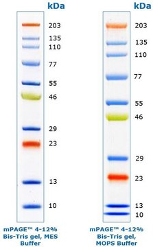 mPAGE&#174; Color Protein Standard