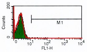 Anti-CD28 antibody, Mouse monoclonal clone CD28.2, purified from hybridoma cell culture