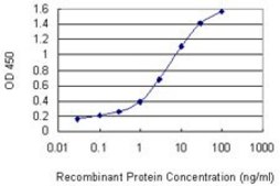 Monoclonal Anti-BMX antibody produced in mouse clone 3G3, purified immunoglobulin, buffered aqueous solution