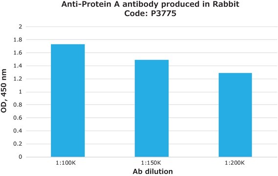 抗蛋白 A 兔抗 fractionated antiserum, lyophilized powder