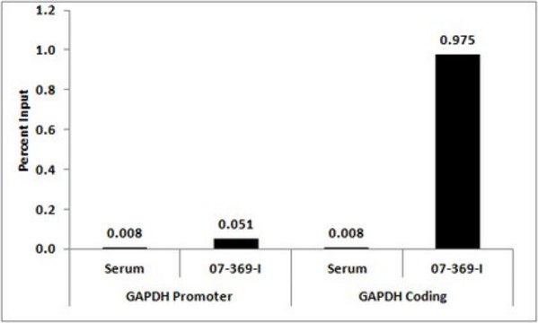 抗二甲基组蛋白 H3（Lys36）抗体 serum, from rabbit