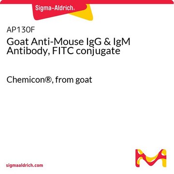 Goat Anti-Mouse IgG &amp; IgM Antibody, FITC conjugate Chemicon&#174;, from goat