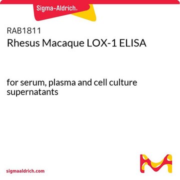 恒河猴LOX-1 ELISA for serum, plasma and cell culture supernatants