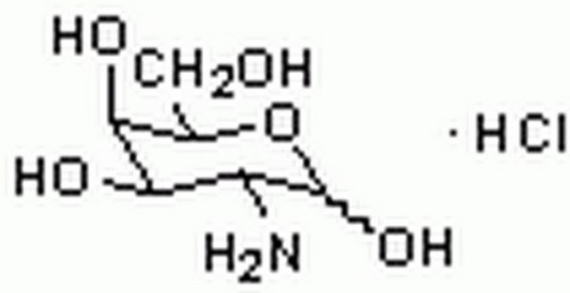 D(+)Galactosamine, Hydrochloride A powerful inhibitor of hepatic RNA synthesis. Increases the adherence of polymorphonuclear leukocytes to hepatic endothelial cells and induces superoxide production. Induces hepatic damage, causing macrophage infiltration.