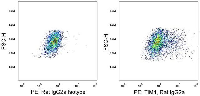 Anti-Mouse TIM-4 (RMT4-54) ColorWheel&#174; Dye-Ready mAb