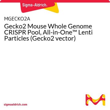 Gecko2 Mouse Whole Genome CRISPR Pool, All-in-One&#8482; Lenti Particles (Gecko2 vector)