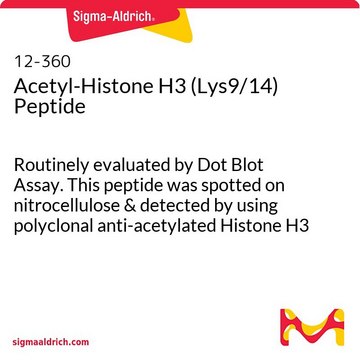 乙酰基组蛋白H3（Lys9/14）肽 Routinely evaluated by Dot Blot Assay. This peptide was spotted on nitrocellulose &amp; detected by using polyclonal anti-acetylated Histone H3 (06-599).