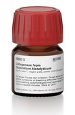 Collagenase from Clostridium histolyticum Type II, Vetec™, reagent grade, powder, ≥125 CDU/mg solid
