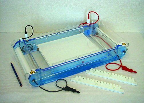 Maxi horizontal electrophoresis units cooled unit