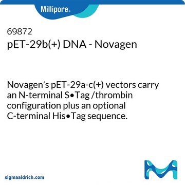 pET-29b(+) DNA - Novagen Novagen&#8242;s pET-29a-c(+) vectors carry an N-terminal S•Tag /thrombin configuration plus an optional C-terminal His•Tag sequence.