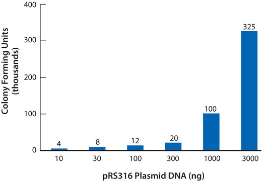 Yeast Transformation Kit reagents for introducing plasmid DNA into yeast