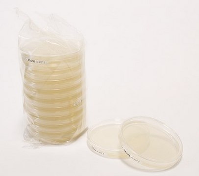 HEIMPLATE R2A Agar EP, JP, pkg of (90 mm settle plate with 30 ml filling volume (20 or 120 plates per box) ), For long incubation (LI), suitable for microbiology