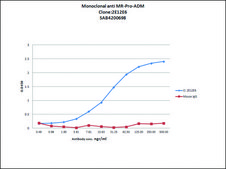 Anti-MR-Pro ADM antibody, Mouse monoclonal clone 2E12E6, purified from hybridoma cell culture