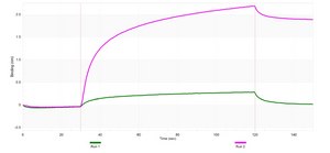 Anti-TMEM106B Antibody, clone 2E4 ZooMAb® Rabbit Monoclonal recombinant, expressed in HEK 293 cells
