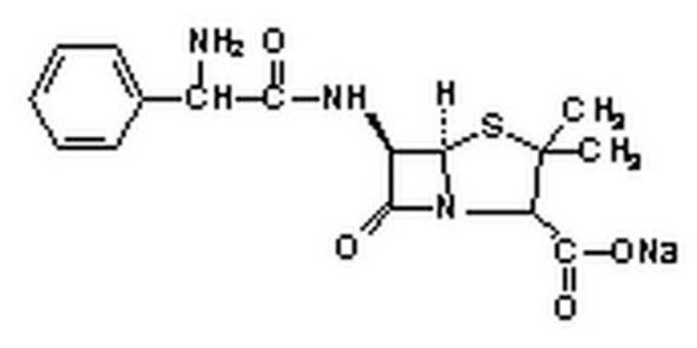 Ampicillin, Sodium Salt Ampicillin salt is an antibiotic that inhibits bacterial cell-wall synthesis. Active against Gram-negative bacteria. Inactivated by lactamases. Suitable for use in research that uses ampicillin-resistant plasmids.