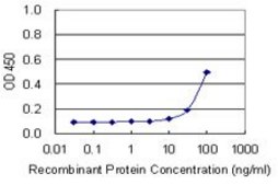 Monoclonal Anti-GPC5 antibody produced in mouse clone 1C9, purified immunoglobulin, buffered aqueous solution