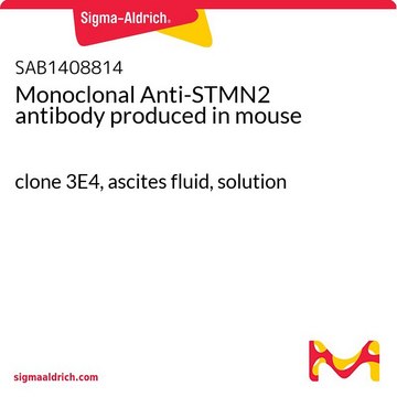 Monoclonal Anti-STMN2 antibody produced in mouse clone 3E4, ascites fluid, solution