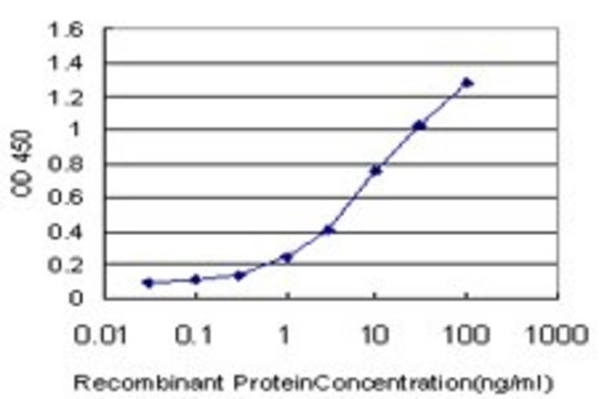 ANTI-TCL1A antibody produced in mouse clone 3H6, purified immunoglobulin, buffered aqueous solution