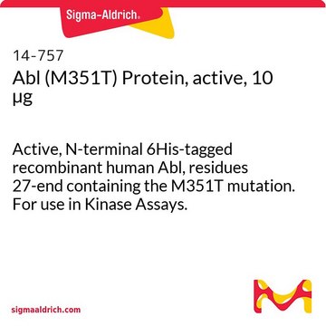 Abl (M351T) Protein, active, 10 &#181;g Active, N-terminal 6His-tagged recombinant human Abl, residues 27-end containing the M351T mutation. For use in Kinase Assays.