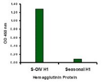 Anti-Swine H1N1 Hemagglutinin antibody produced in rabbit affinity isolated antibody, buffered aqueous solution