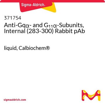 Anti-Gq&#945;- and G&#8321;&#8321;&#945;-Subunits, Internal (283-300) Rabbit pAb liquid, Calbiochem&#174;