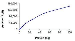 PFTK1 (CDK14)/CYCLINY, Active PRECISIO® Kinase, recombinant