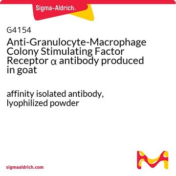 Anti-Granulocyte-Macrophage Colony Stimulating Factor Receptor &#945; antibody produced in goat affinity isolated antibody, lyophilized powder