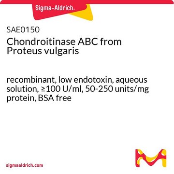 Chondroitinase ABC from Proteus vulgaris recombinant, low endotoxin, aqueous solution, &#8805;100 U/ml, 50-250 units/mg protein, BSA free