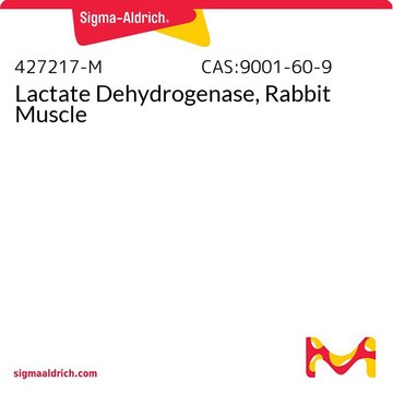 Lactate Dehydrogenase, Rabbit Muscle