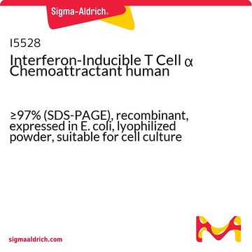 Interferon-Inducible T Cell &#945; Chemoattractant human &#8805;97% (SDS-PAGE), recombinant, expressed in E. coli, lyophilized powder, suitable for cell culture