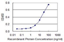 Monoclonal Anti-HS3ST2 antibody produced in mouse clone 5D5, purified immunoglobulin, buffered aqueous solution