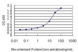 Monoclonal Anti-FOXC2, (C-terminal) antibody produced in mouse clone 4B3, purified immunoglobulin, buffered aqueous solution