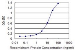 Monoclonal Anti-STX16, (N-terminal) antibody produced in mouse clone 3D12, purified immunoglobulin, buffered aqueous solution