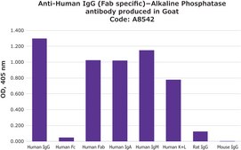 Anti-Human IgG (Fab specific)−Alkaline Phosphatase antibody produced in goat affinity isolated antibody, buffered aqueous solution