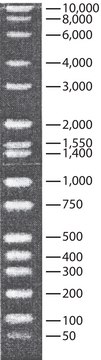 DirectLoad&#8482; 宽分子量 DNA 标准 ready-to-use marker for DNA electrophoresis