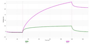 Anti-AP-2γ Antibody, clone 2J5 ZooMAb® Rabbit Monoclonal recombinant, expressed in HEK 293 cells