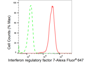 Anti Interferon regulatory factor 7 Antibody, clone 23GB2925, Rabbit Monoclonal clone 23GB2925, recombinant rabbit monoclonal, expressed in HEK293 cells