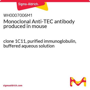 Monoclonal Anti-TEC antibody produced in mouse clone 1C11, purified immunoglobulin, buffered aqueous solution