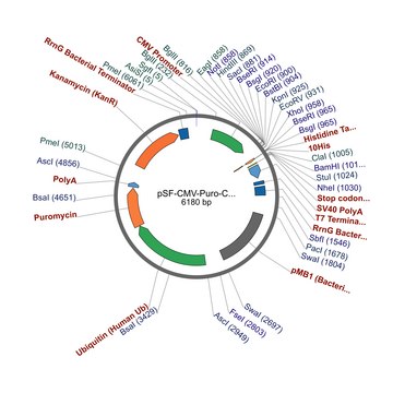 PSF-CMV-PURO-COOH-10HIS - C-TERMINAL 10HIS TAG MAMMALIAN PLASMID plasmid vector for molecular cloning