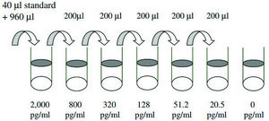 Mouse TECK / CCL25 ELISA Kit for serum, plasma and cell culture supernatant