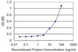 Monoclonal Anti-KLK13, (C-terminal) antibody produced in mouse clone 1G9, purified immunoglobulin, buffered aqueous solution