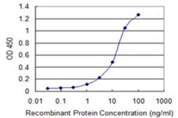 Monoclonal Anti-PRKCABP antibody produced in mouse clone 3G5, purified immunoglobulin, buffered aqueous solution