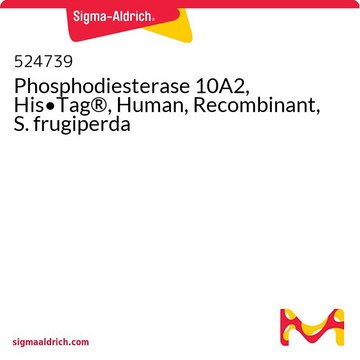 Phosphodiesterase 10A2, His&#8226;Tag&#174;, Human, Recombinant, S. frugiperda