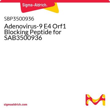 Adenovirus-9 E4 Orf1 Blocking Peptide for SAB3500936