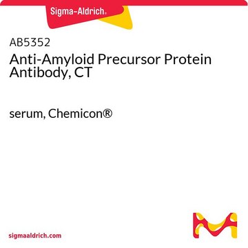 抗淀粉样前体蛋白抗体，CT serum, Chemicon&#174;