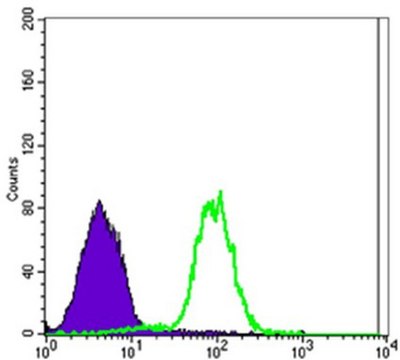 Anti-CA9 Antibody, clone 2D3 ascites fluid, clone 2D3, from mouse